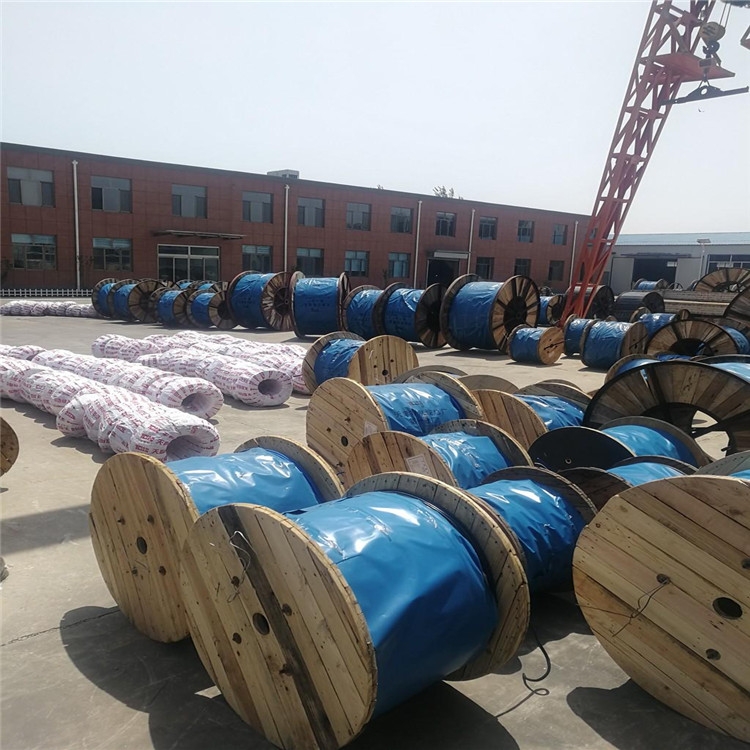 計(jì)算機(jī)屏蔽電纜DJYVP3R-5×2×1.0純銅國(guó)標(biāo)電纜廠家直銷(xiāo)
