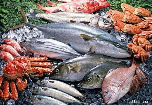 大黃魚進口清關流程明細大黃魚進口關稅