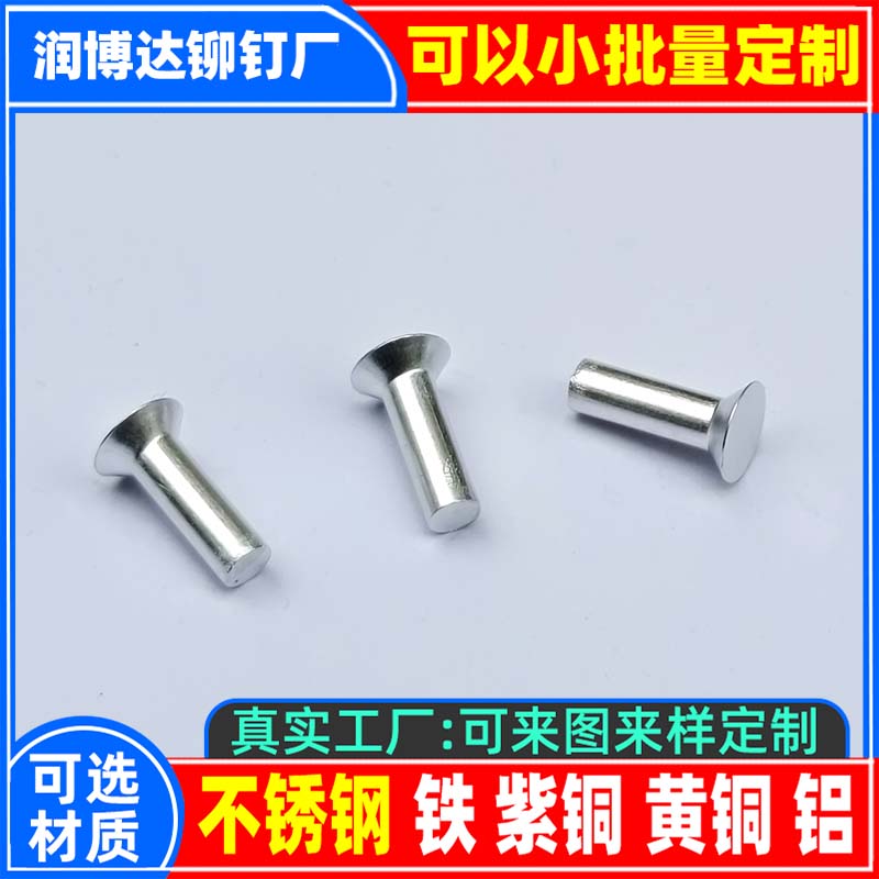 供應沉頭鉚釘 沉頭半空心鉚釘 沉頭不銹鋼鉚釘 沉頭半空心鐵鉚釘廠張東良網(wǎng)名張先生