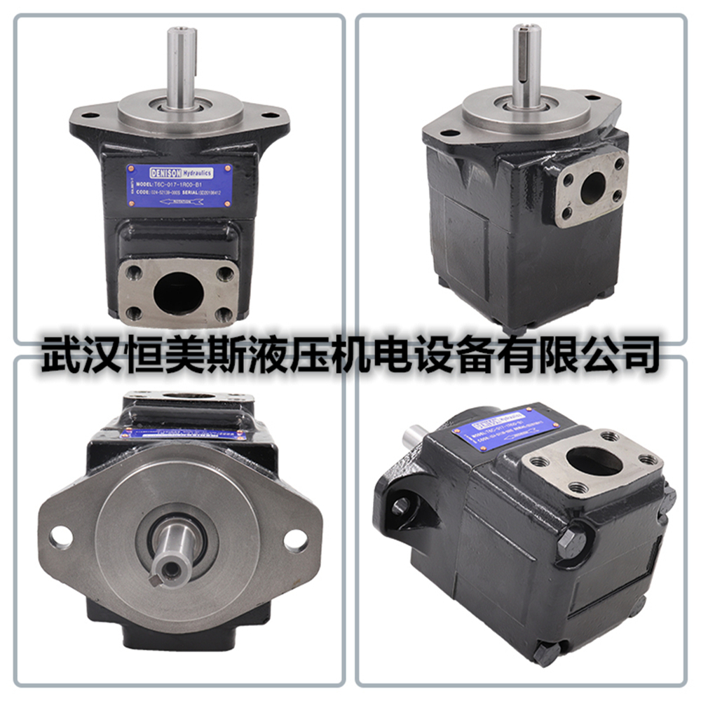 法國DENISON丹尼遜低噪音葉片油泵T6EC-072-022-1R00-C100