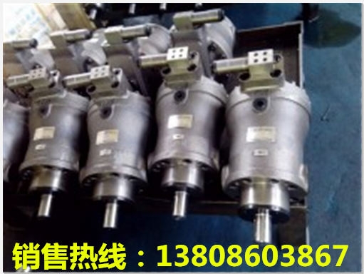 四川AA4VSO250DRG/30R-FPB25U35大圖