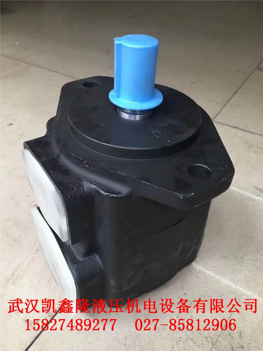 葉片泵4535V60A35湖北圖片說(shuō)明
