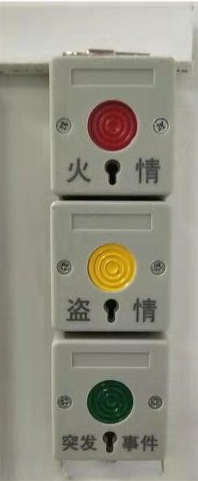 Ʒ˙Cּ֟logoӹĥ