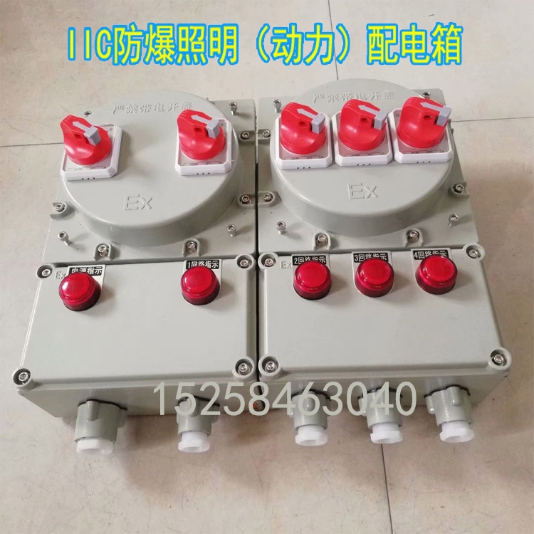 iict4級bxm(d)51防爆照明（動(dòng)力）配電箱 電源開關(guān)控制箱1進(jìn)4出