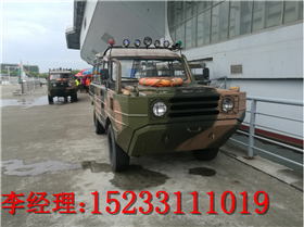 水域救災(zāi)全地形兩棲車，水陸兩棲車廠家，搶險兩棲車