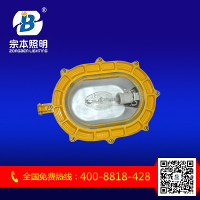 BFC8120內(nèi)場(chǎng)強(qiáng)光防爆燈 GCD5010隔爆型防爆燈