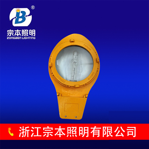 BLC8610 道路燈生產(chǎn)廠家直銷業(yè)專于精。