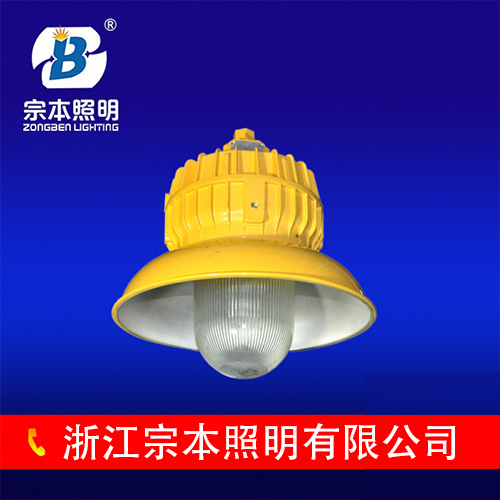 精制工礦燈廠房燈抗擊防爆品質(zhì)保證絕對信譽價格優(yōu)惠BPC8710。