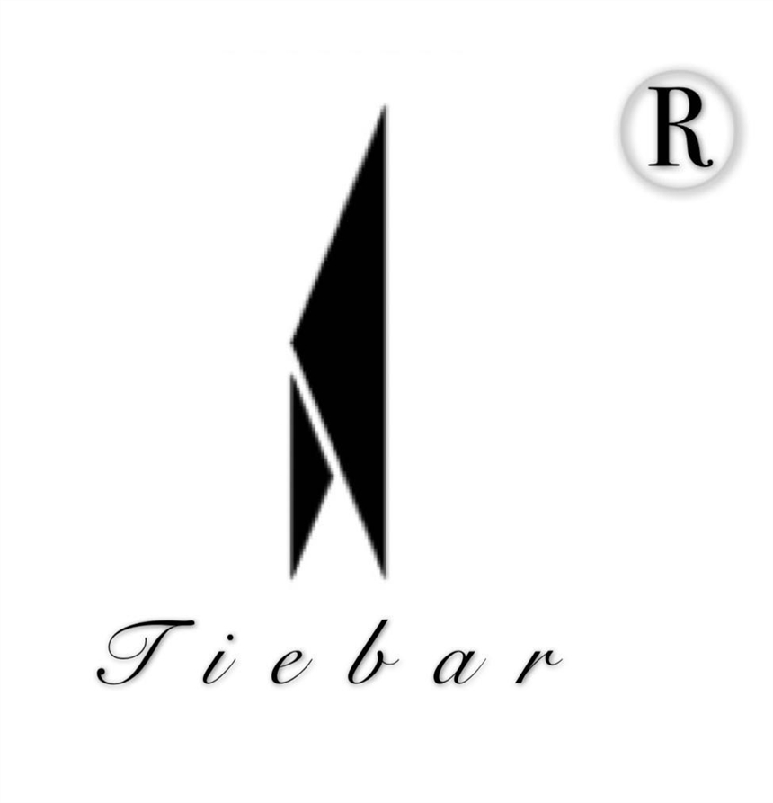 TEIBAR英國隱形音箱Tucana