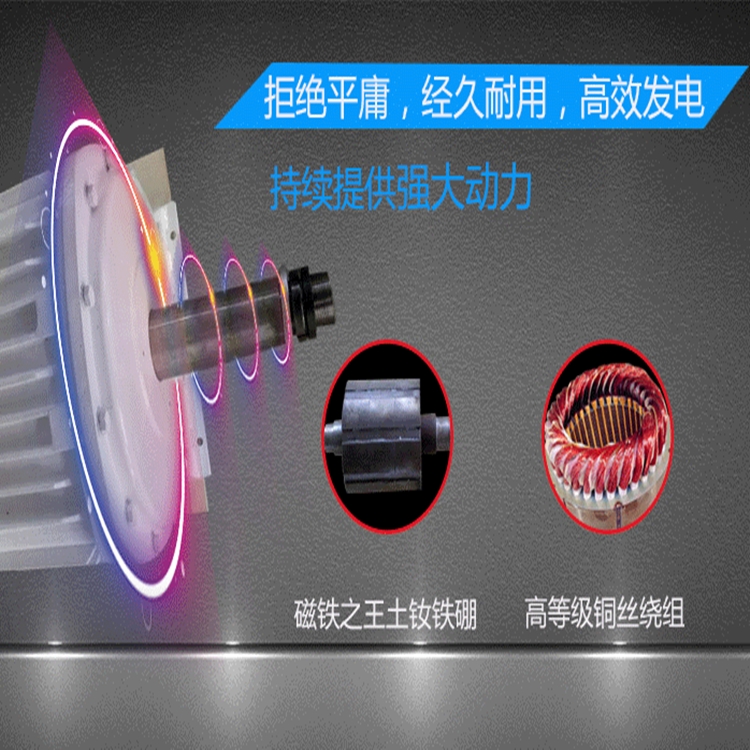 同步永磁發(fā)電機 異形直驅(qū)發(fā)電機