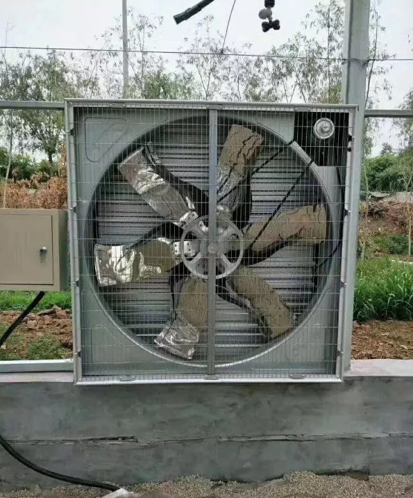 \ؓLCI(y)LȴʏoŚ