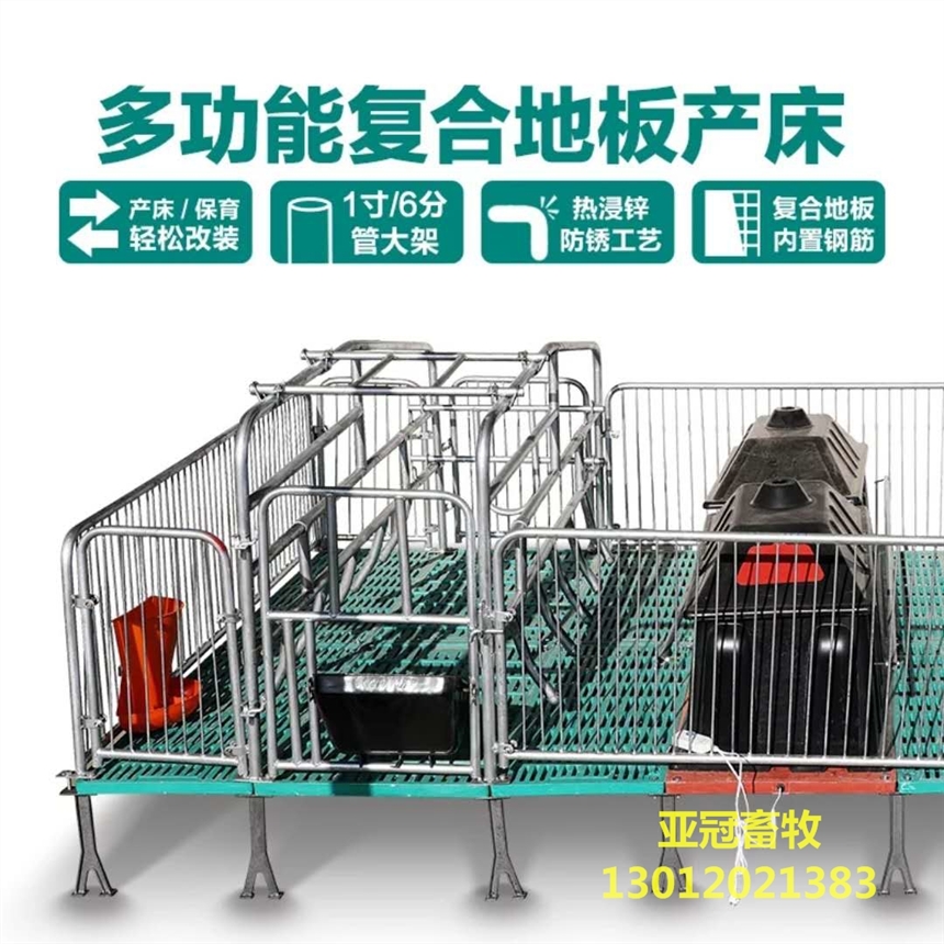 供應(yīng)廠家焊接養(yǎng)豬設(shè)備亞冠YG-01雙體母豬產(chǎn)床