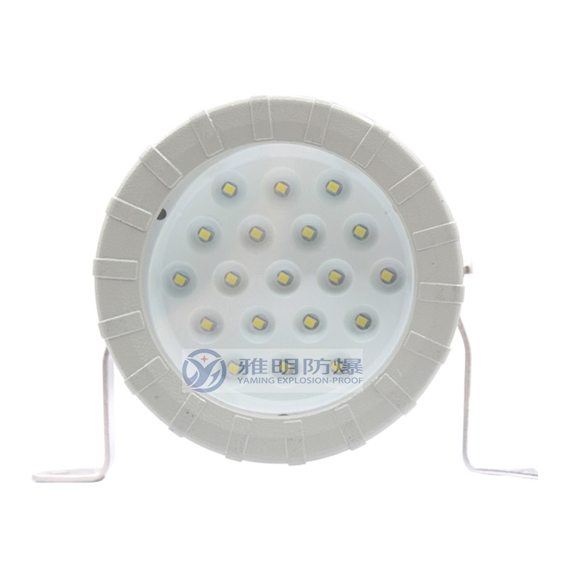 BAK85防腐防爆帶開關視孔燈5W7WAC220V24VIP65