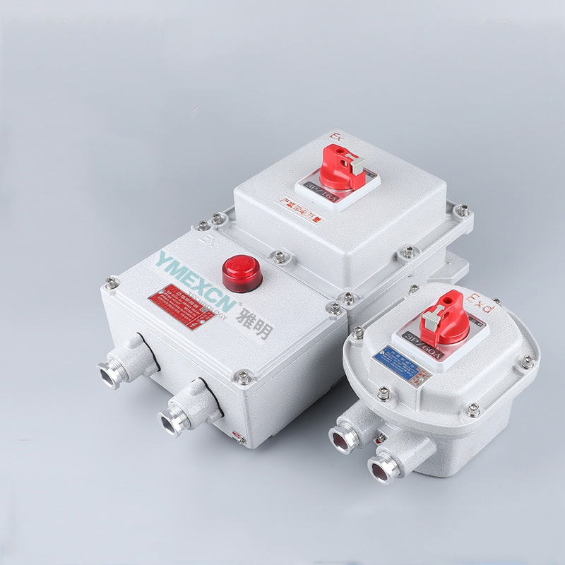 BXD-16/3P防爆斷路器 ExdIIBT4Gb防爆漏電開關(guān)