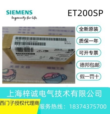 6ES7134-6TD00-0CA1 西門(mén)子 模擬 HART 輸入模塊 現(xiàn)貨 全國(guó)包郵