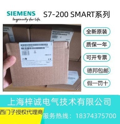 6ES72881SR300AA1 西門子 標(biāo)準(zhǔn)型 CPU 模塊 繼電器輸出 SR30 現(xiàn)貨