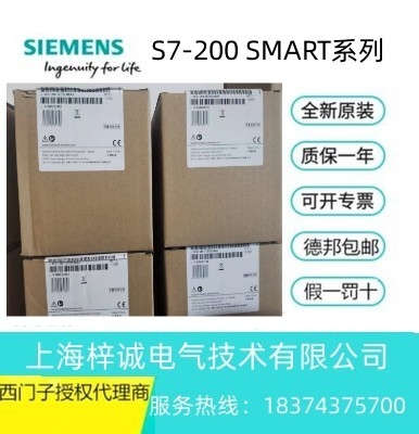 6ES72881CR200AA1 西門子 CR20s 經(jīng)濟(jì)型 CPU 模塊 繼電器輸出現(xiàn)貨