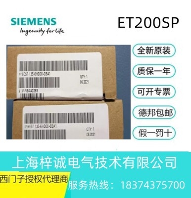 6ES7135-6HD00-0BA1 T(mn)  ET 200SP  ģMʽݔģK