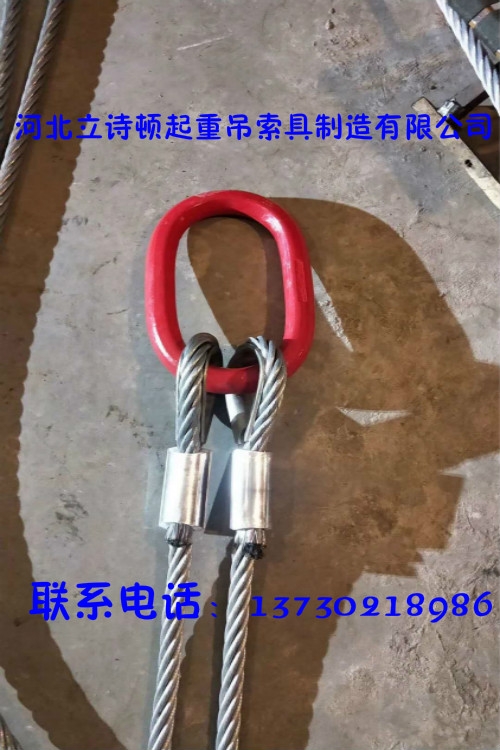 供應插遍鋼絲繩索具包塑鋼絲繩直徑22M鍍鋅鋼絲繩壓制