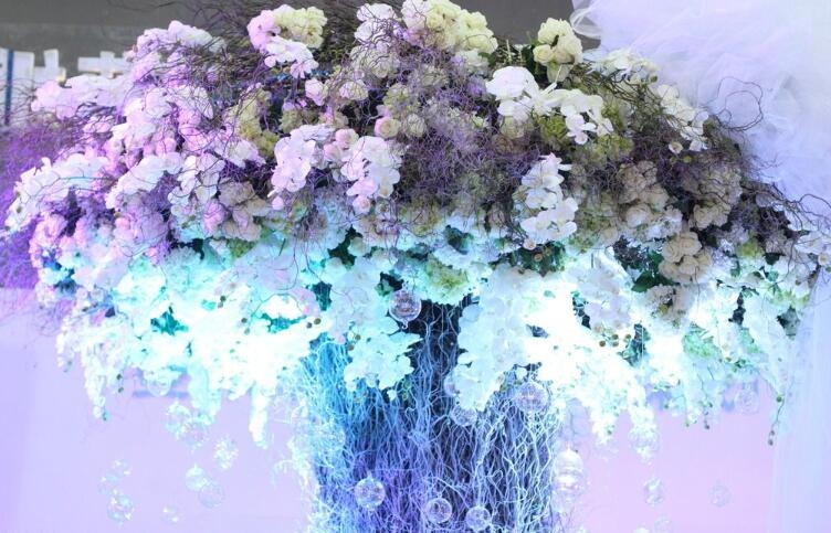 ׻ڕrǰ ׌_ɞҸ