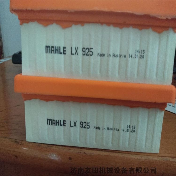 Fiorentini    FMF1060600BA    過濾器濾網(wǎng)