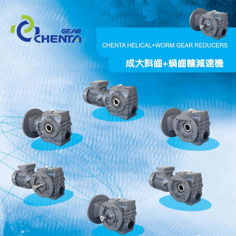 滄州市供應(yīng)成大BSS渦輪減速機(jī)BSS60-10