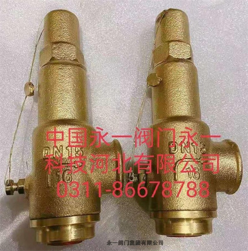 江蘇中國(guó)永一安全閥 永一閥門集團(tuán)產(chǎn)品質(zhì)量可靠，安全制藥安全閥