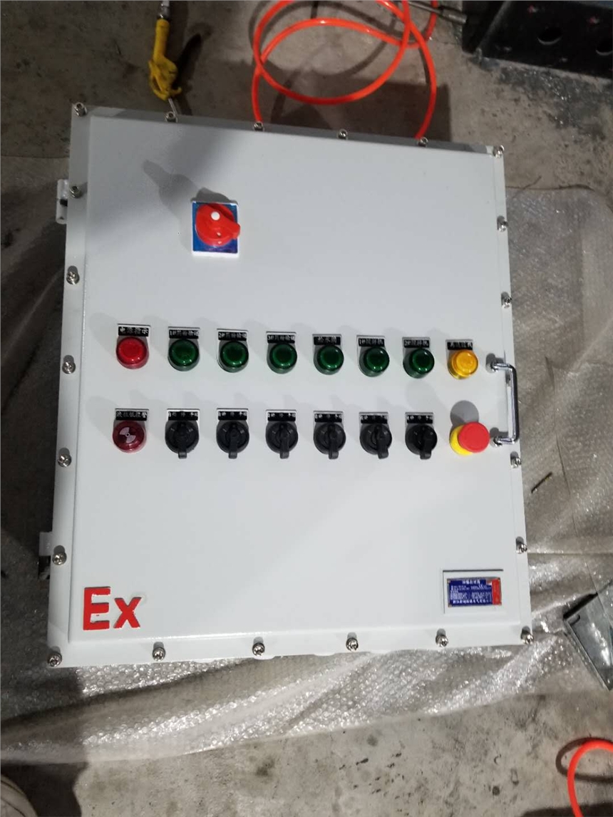 鷹潭市ZC/BXX51系列防爆動(dòng)力檢修箱(ⅡB、ⅡC)廠商出售