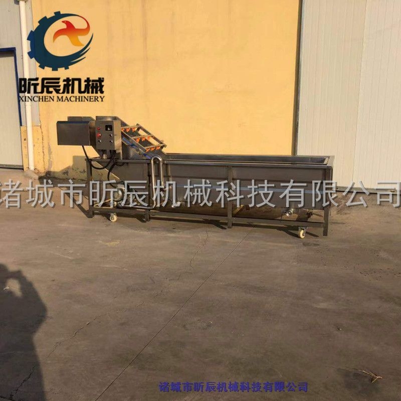 蔬菜水果高壓噴淋汽浴式清洗機