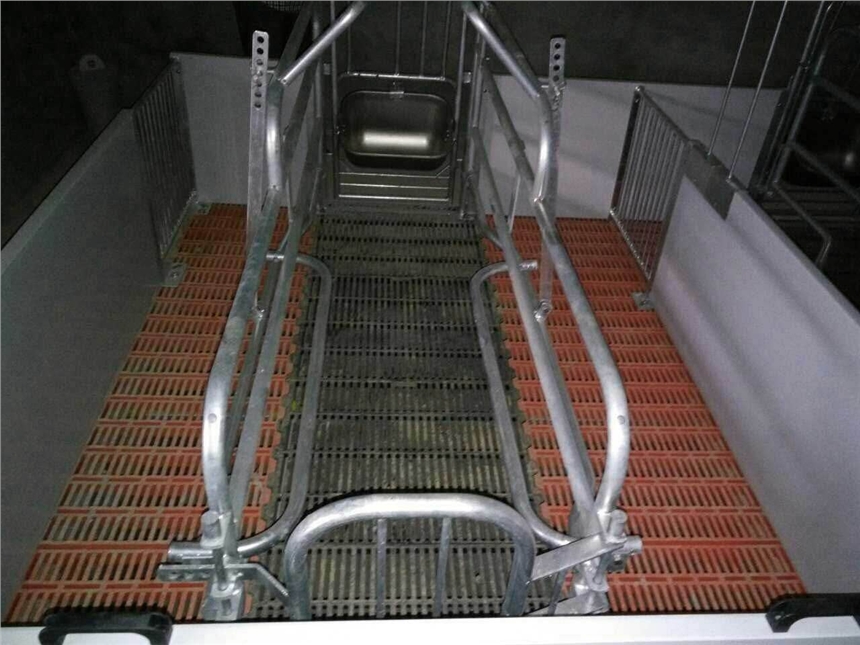 河北正達(dá)歐式母豬產(chǎn)床廠家  養(yǎng)豬場專用豬床豬用床直銷價(jià)格批發(fā)