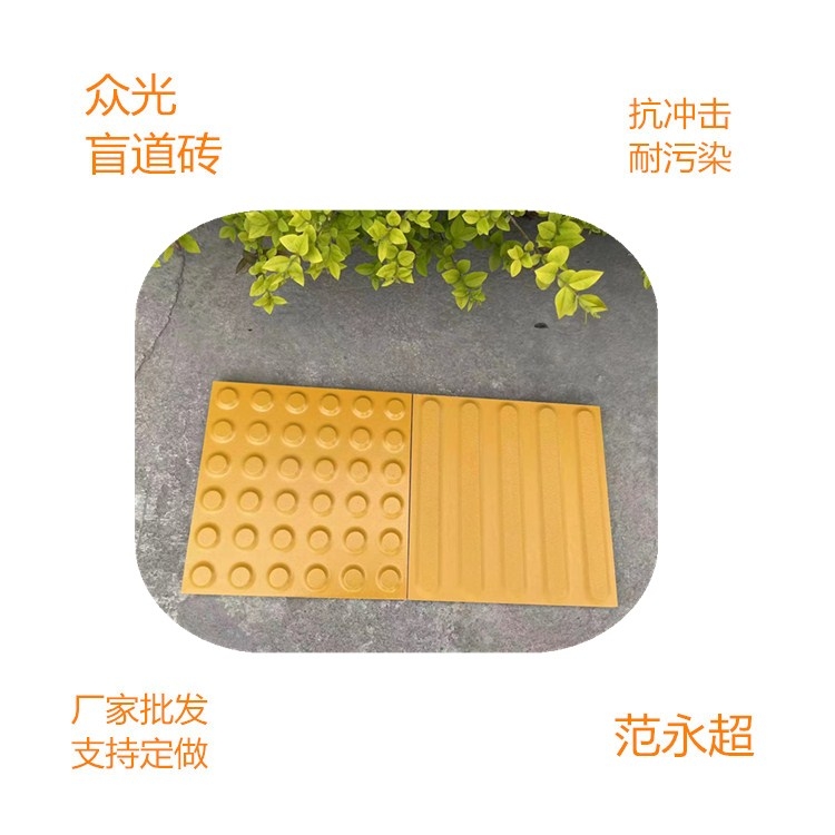 廣東珠海盲道磚  瓷質(zhì)盲道磚規(guī)格尺寸
