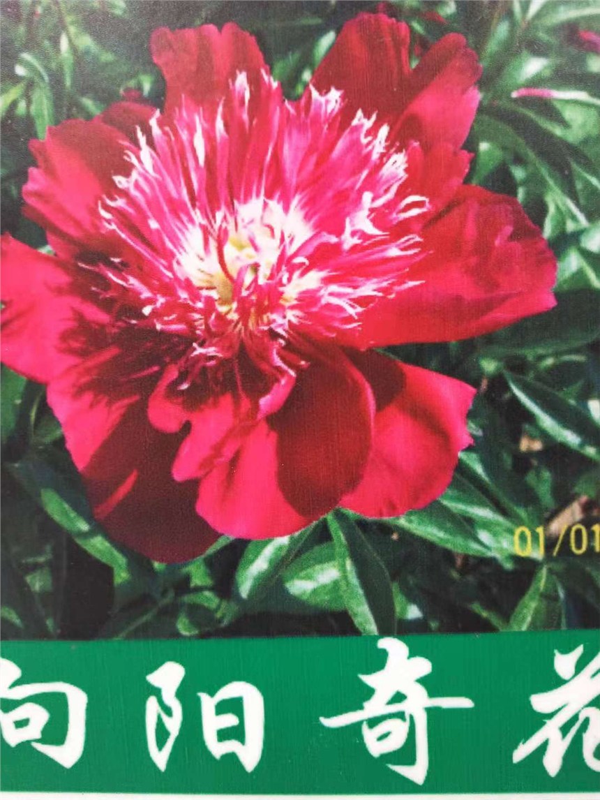 ˎr(ji)λ