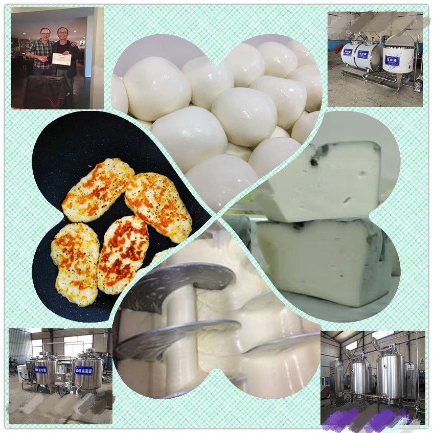 小型奶酪加工設(shè)備小型奶酪生產(chǎn)線