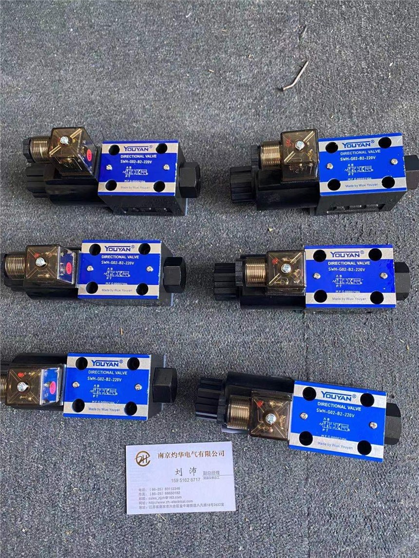 YOUYAN供應(yīng)SWH-G02-B2-220V
