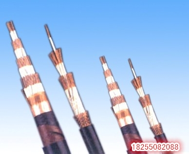 DJYPVPR-2*2*1.5 DJYPVPR-3*2*1.5電纜-可靠銷(xiāo)售