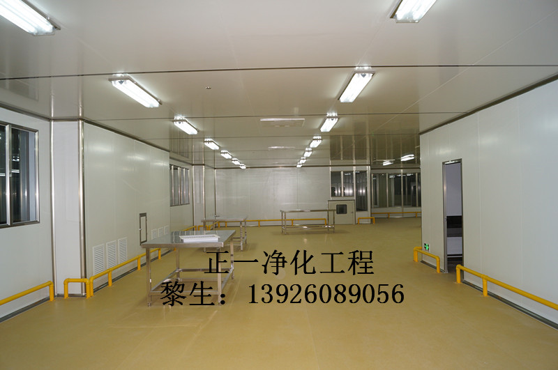 隨州sc十萬(wàn)級(jí)食品潔凈廠房裝修 荊州十萬(wàn)級(jí)凈化食品潔凈廠房裝修 荊門(mén)餅干沙琪瑪潔凈廠房裝修