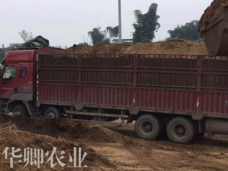 云陽(yáng)蘭花營(yíng)養(yǎng)土廠家
