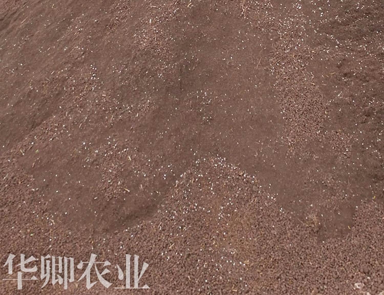 涪陵輕質(zhì)土價格