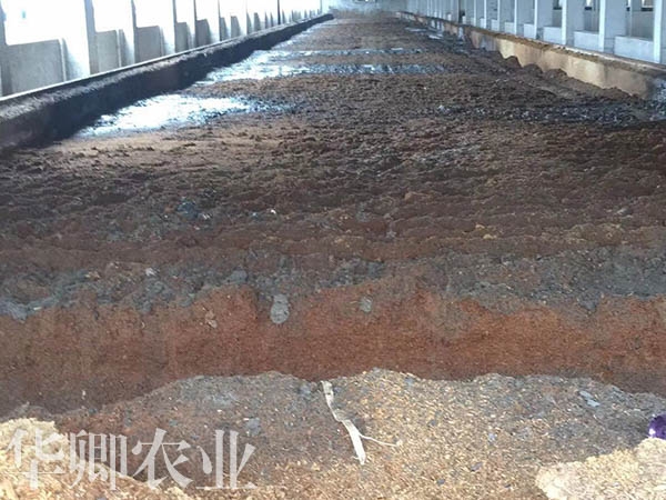 開縣多肉營(yíng)養(yǎng)土哪里有賣