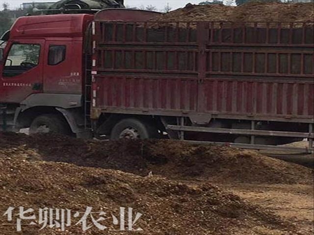 土資訊=巴南區(qū)盆栽種植土哪里能買