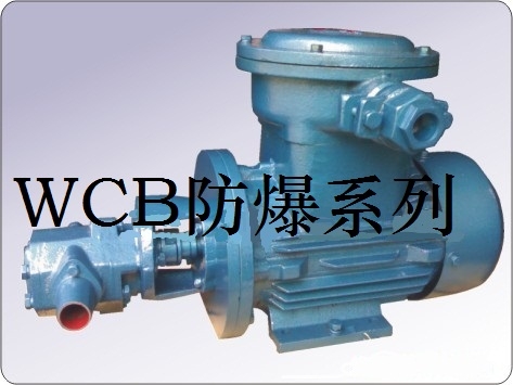 WCB-30、WCB-50、WCB-70手提油泵
