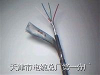 電子計(jì)算機(jī)用屏蔽電纜DJYP3VP3電子計(jì)算機(jī)用屏蔽電纜DJYP3VP3