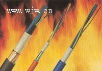 耐火電纜-NH-VV,NH-VV22，電纜生產(chǎn)廠家