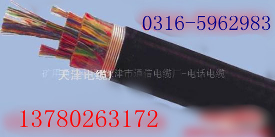 HYAT 200X2X0。5；充油通信電纜HYAT 200X2X0。4