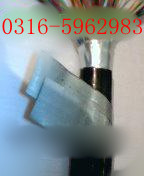 HYA23 30X2X05HYA23zbͨ|r