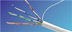 HYA22電纜；10*2*0.9|HYA22通信電纜；10*2*0.8