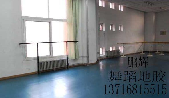 舞蹈地板膠價格，少兒舞蹈室地板膠