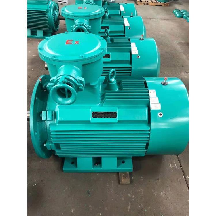 沈陽(yáng)全新雙速電機(jī) 變頻高壓電機(jī)廠家