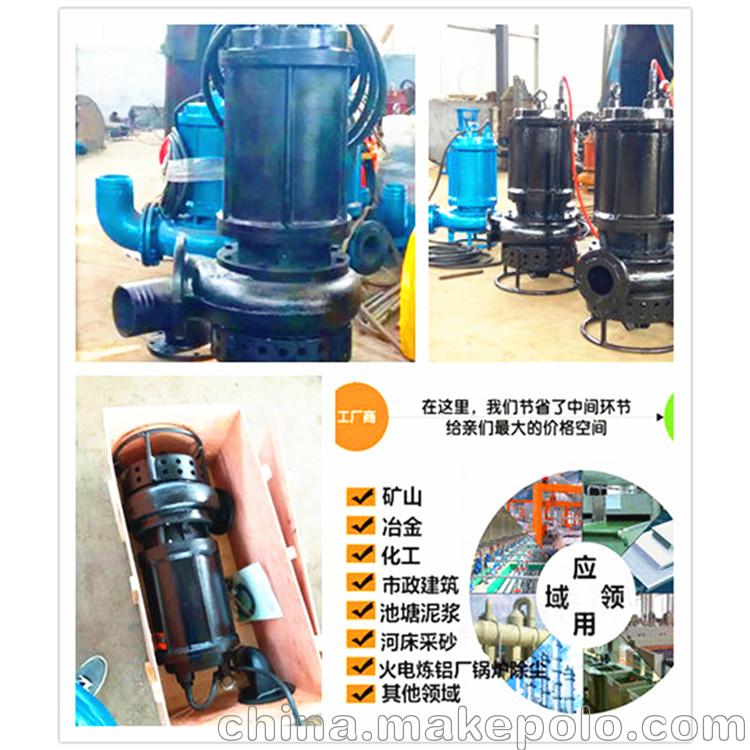 小形抽沙機(jī)潛水式抽沙機(jī)拆抽沙泵
