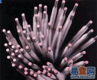 鑄鐵408焊條|z308鑄鐵焊條|純鎳鑄鐵焊條|鑄鐵焊絲